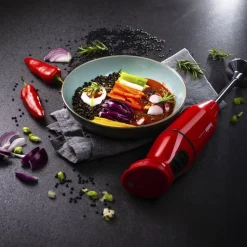 Cordless Stavblender 10,8 volt