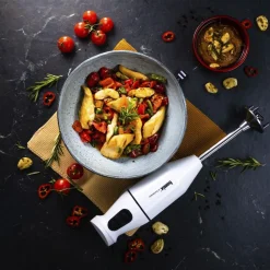 Cordless Stavblender 10,8 volt