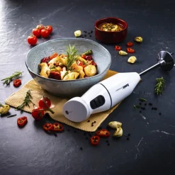 Cordless Stavblender 10,8 volt