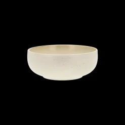 Gastro Poke-/ramenskål