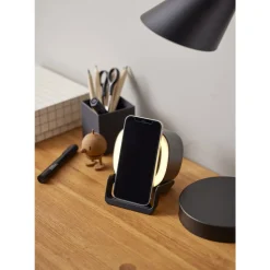 Højtaler med oplader og lampe