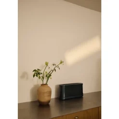 Long Slot Brødrister