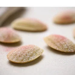 Madeleineform til 12 stk.