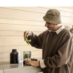 Mega Plus Blender 1200 watt