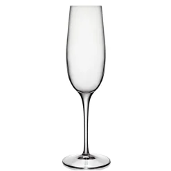 Palace Champagneglas 6 stk.