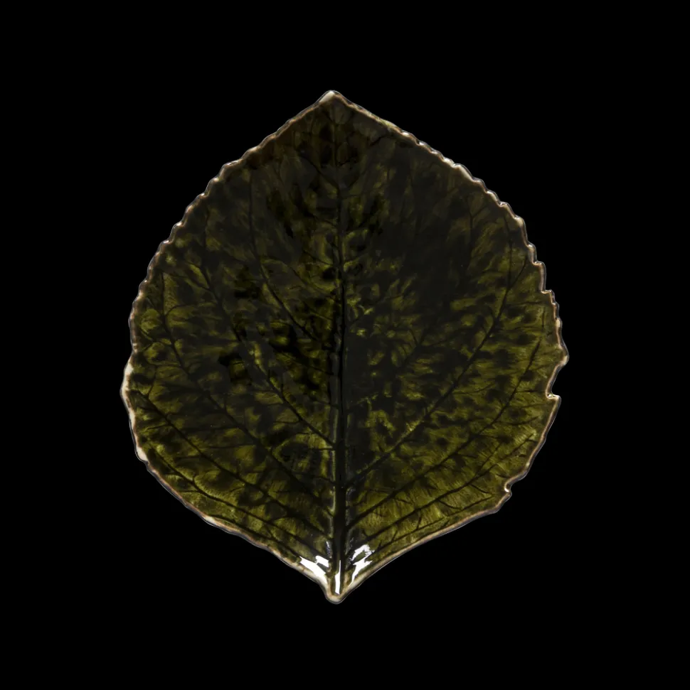 Riviera Asiet hortensiablad