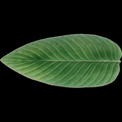 Riviera Serveringsfad aflangt blad