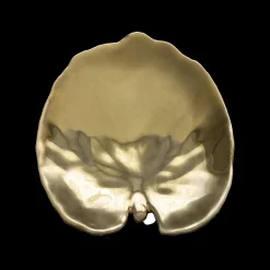 Riviera Tallerken åkandeblad