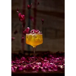 Rocks Copa/GT glas 2 stk.