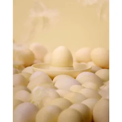 Singles Æggebæger 5 dele